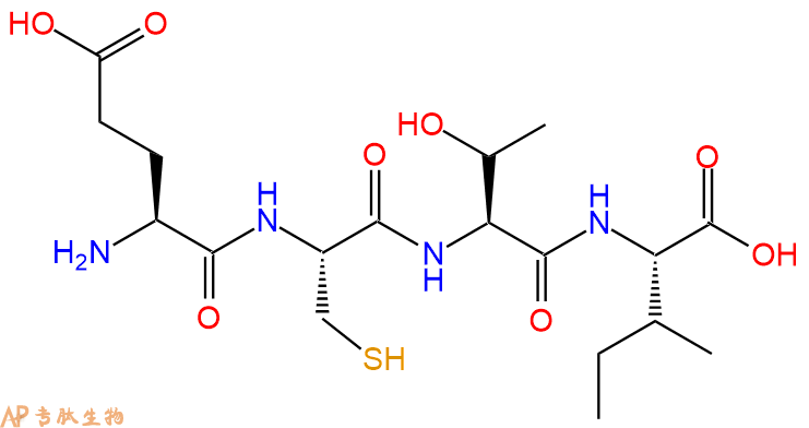 专肽生物产品H2N-Glu-Cys-Thr-Ile-OH
