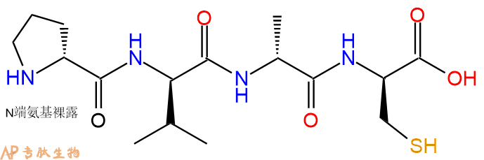 专肽生物产品H2N-DPro-DVal-DAla-DCys-OH