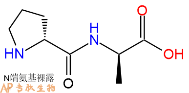 专肽生物产品H2N-DPro-DAla-OH