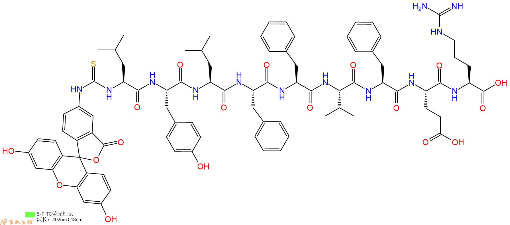 专肽生物产品5FITC-Leu-Tyr-Leu-Phe-Phe-Val-Phe-Glu-Arg-OH