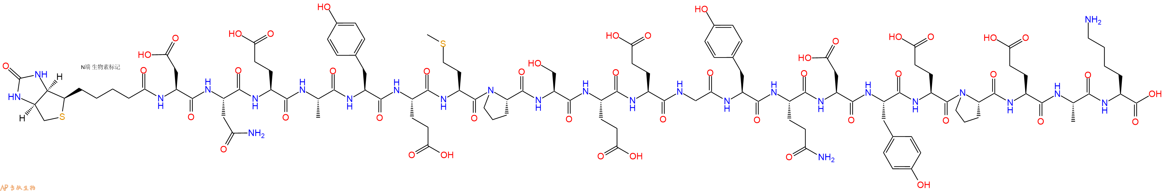 专肽生物产品Biotinyl-Asp-Asn-Glu-Ala-Tyr-Glu-Met-Pro-Ser-Glu-Glu-Gly-Tyr-Gln-Asp-Tyr-Glu-Pro-Glu-Ala-Lys-OH