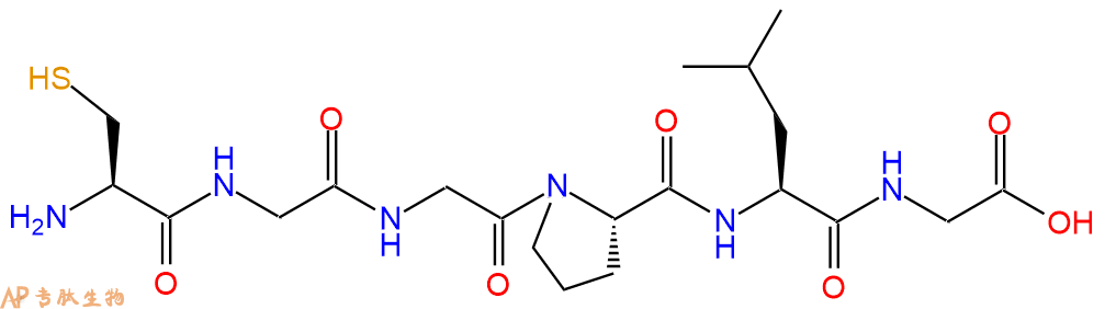 专肽生物产品H2N-Cys-Gly-Gly-Pro-Leu-Gly-OH