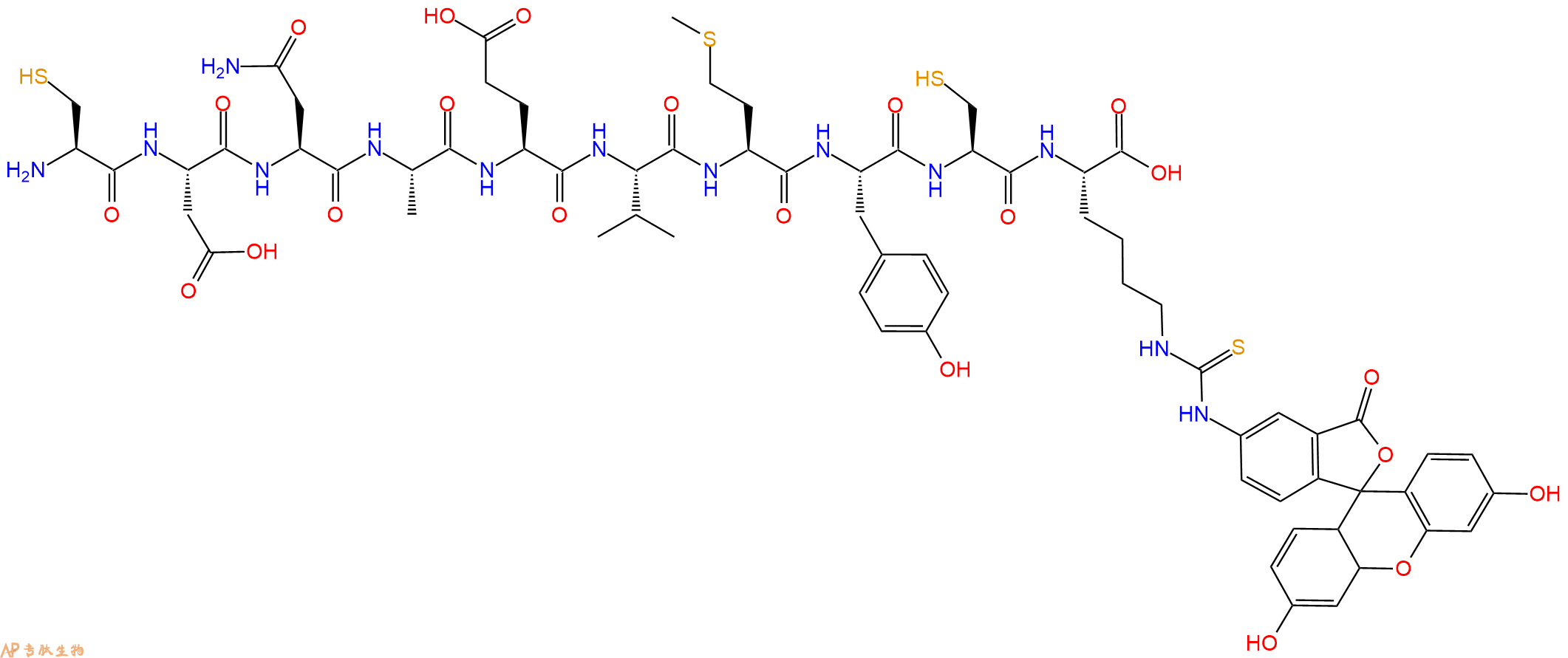 专肽生物产品H2N-Cys-Asp-Asn-Ala-Glu-Val-Met-Tyr-Cys-Lys(FITC)-OH