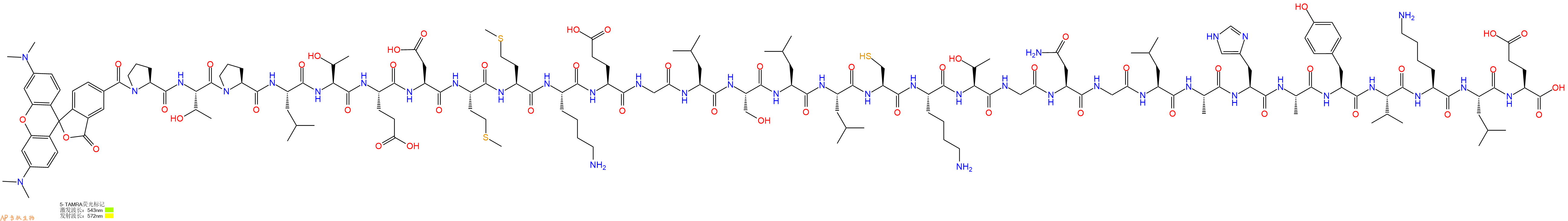 专肽生物产品5TAMRA-Pro-Thr-Pro-Leu-Thr-Glu-Asp-Met-Met-Lys-Glu-Gly-Leu-Ser-Leu-Leu-Cys-Lys-Thr-Gly-Asn-Gly-Leu-Ala-His-Ala-Tyr-Val-Lys-Leu-Glu-OH