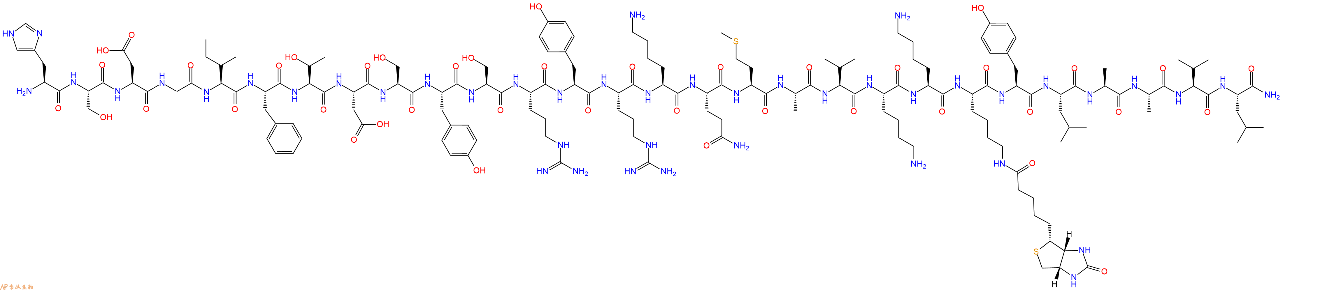 专肽生物产品H2N-His-Ser-Asp-Gly-Ile-Phe-Thr-Asp-Ser-Tyr-Ser-Arg-Tyr-Arg-Lys-Gln-Met-Ala-Val-Lys-Lys-Lys(Biotin)-Tyr-Leu-Ala-Ala-Val-Leu-CONH2