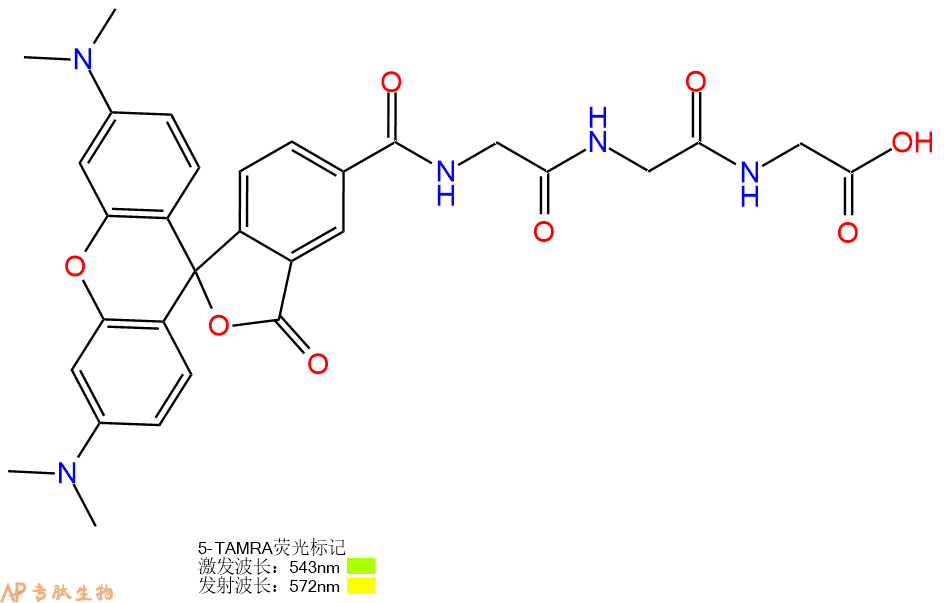 专肽生物产品5TAMRA-Gly-Gly-Gly-OH