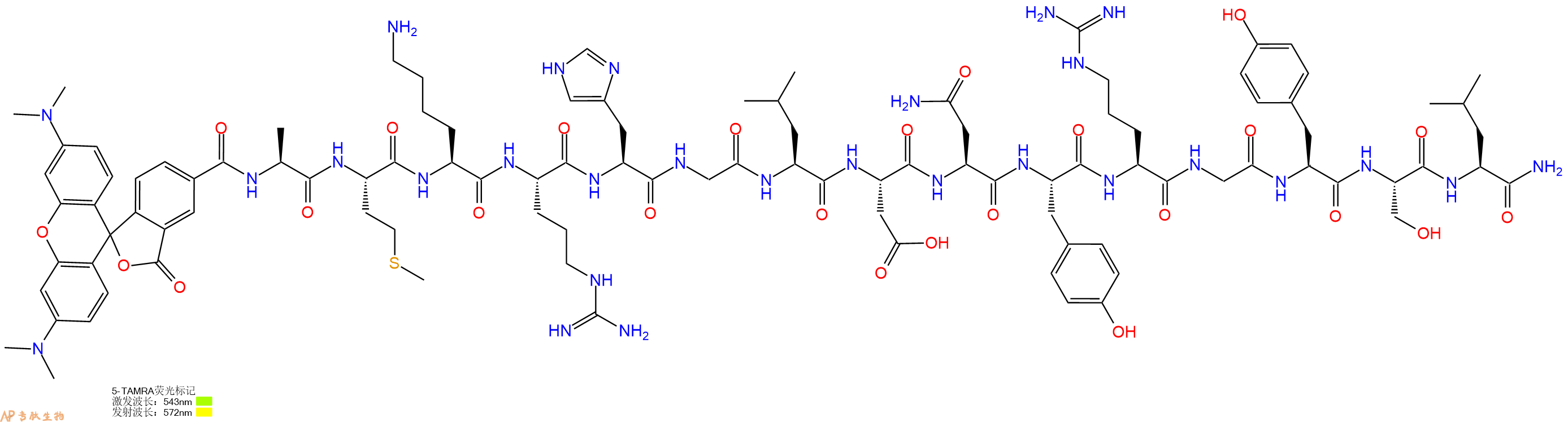 专肽生物产品5TAMRA-Ala-Met-Lys-Arg-His-Gly-Leu-Asp-Asn-Tyr-Arg-Gly-Tyr-Ser-Leu-CONH2