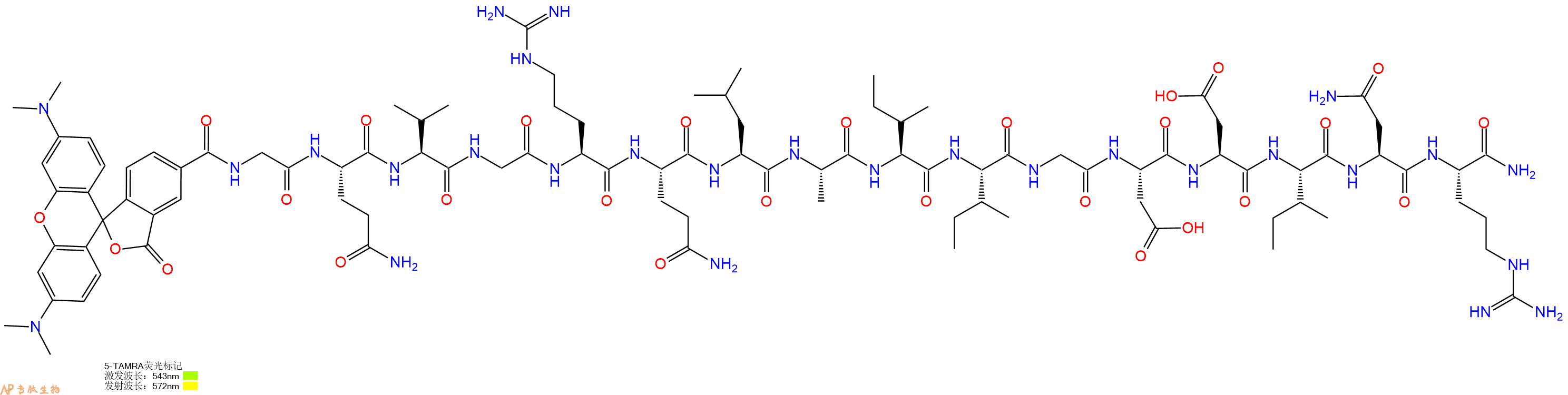 专肽生物产品5TAMRA-Gly-Gln-Val-Gly-Arg-Gln-Leu-Ala-Ile-Ile-Gly-Asp-Asp-Ile-Asn-Arg-CONH2