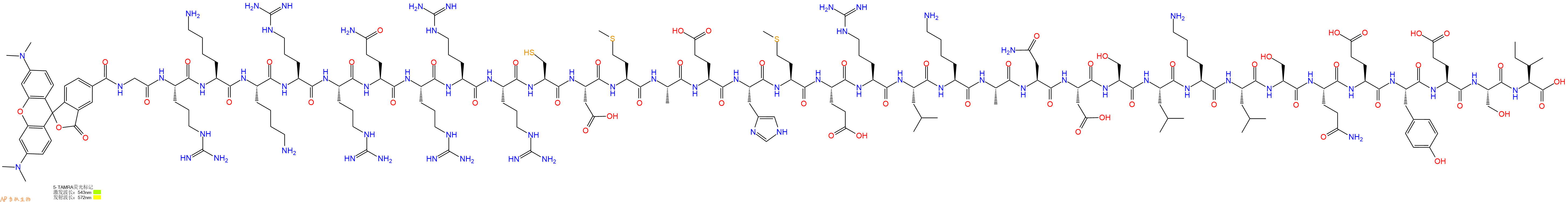 专肽生物产品5TAMRA-Gly-Arg-Lys-Lys-Arg-Arg-Gln-Arg-Arg-Arg-Cys-Asp-Met-Ala-Glu-His-Met-Glu-Arg-Leu-Lys-Ala-Asn-Asp-Ser-Leu-Lys-Leu-Ser-Gln-Glu-Tyr-Glu-Ser-Ile-OH