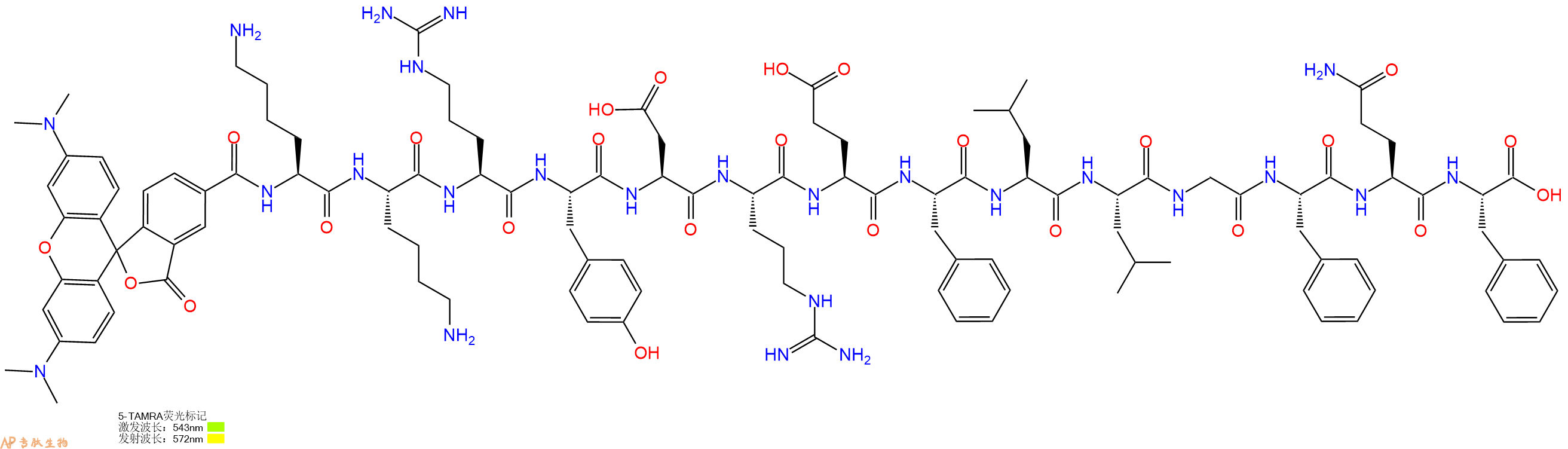 专肽生物产品5TAMRA-Lys-Lys-Arg-Tyr-Asp-Arg-Glu-Phe-Leu-Leu-Gly-Phe-Gln-Phe-OH