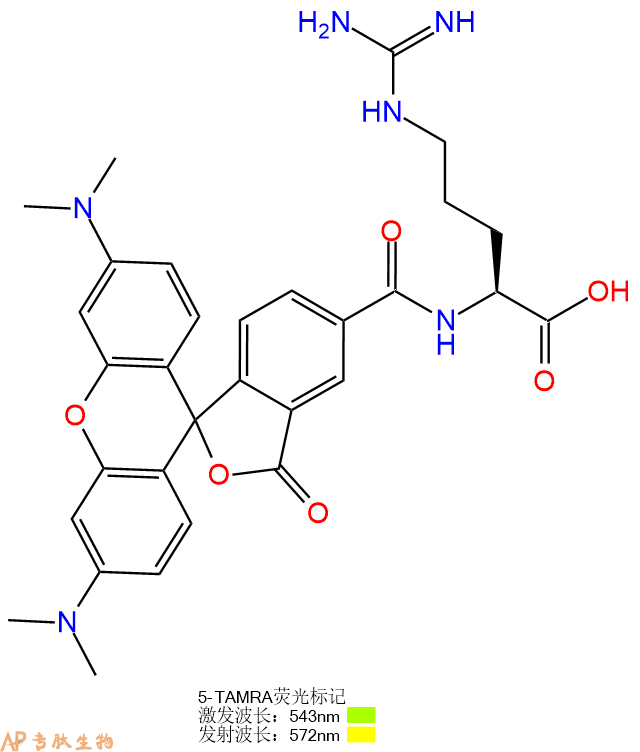 专肽生物产品5TAMRA-Arg-OH