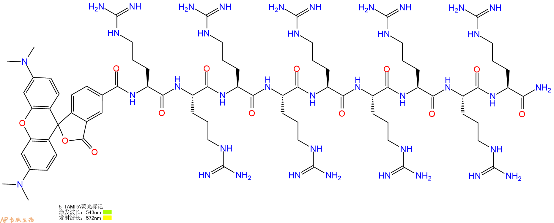 专肽生物产品5TAMRA-Arg-Arg-Arg-Arg-Arg-Arg-Arg-Arg-Arg-CONH2