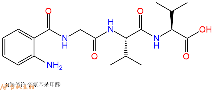 专肽生物产品Abz-Gly-Val-Val-OH