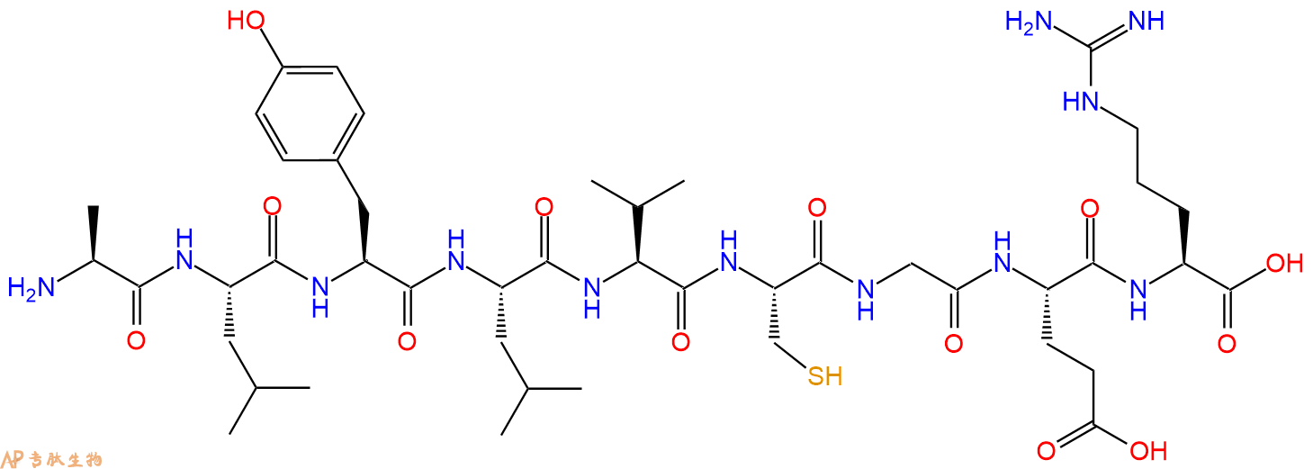 专肽生物产品H2N-Ala-Leu-Tyr-Leu-Val-Cys-Gly-Glu-Arg-OH