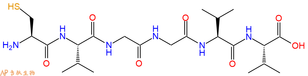 专肽生物产品H2N-Cys-Val-Gly-Gly-Val-Val-OH