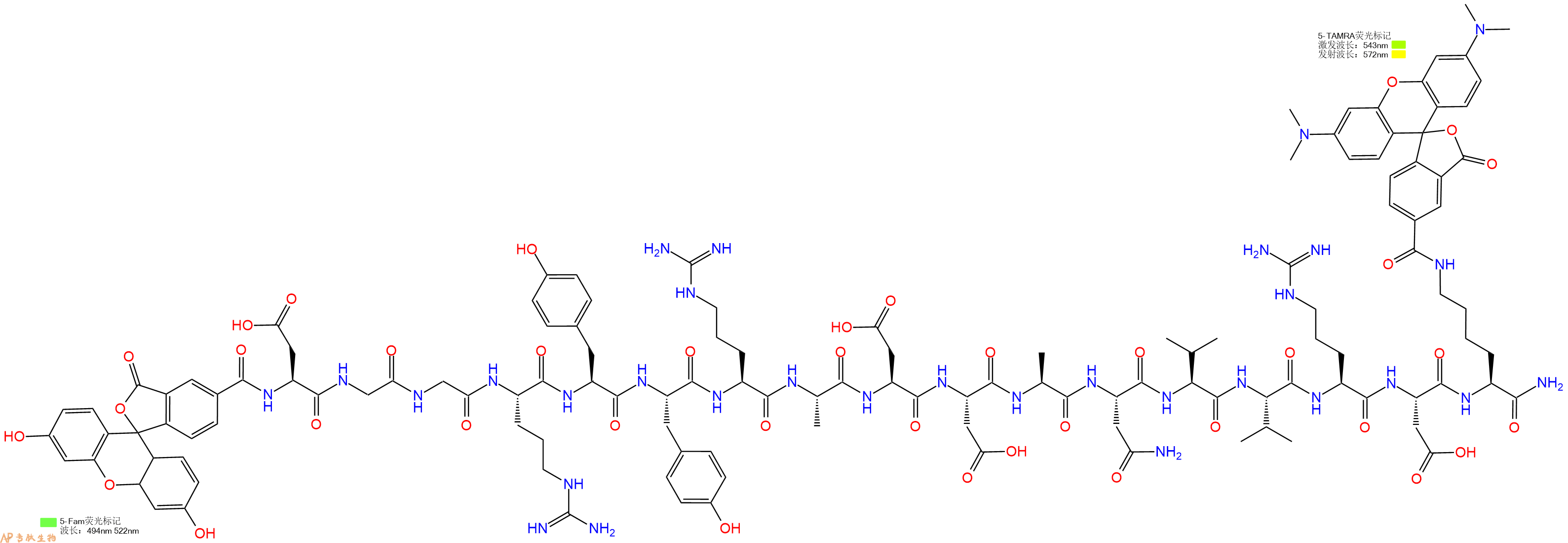 专肽生物产品5FAM-Asp-Gly-Gly-Arg-Tyr-Tyr-Arg-Ala-Asp-Asp-Ala-Asn-Val-Val-Arg-Asp-Lys(TAMRA)-CONH2