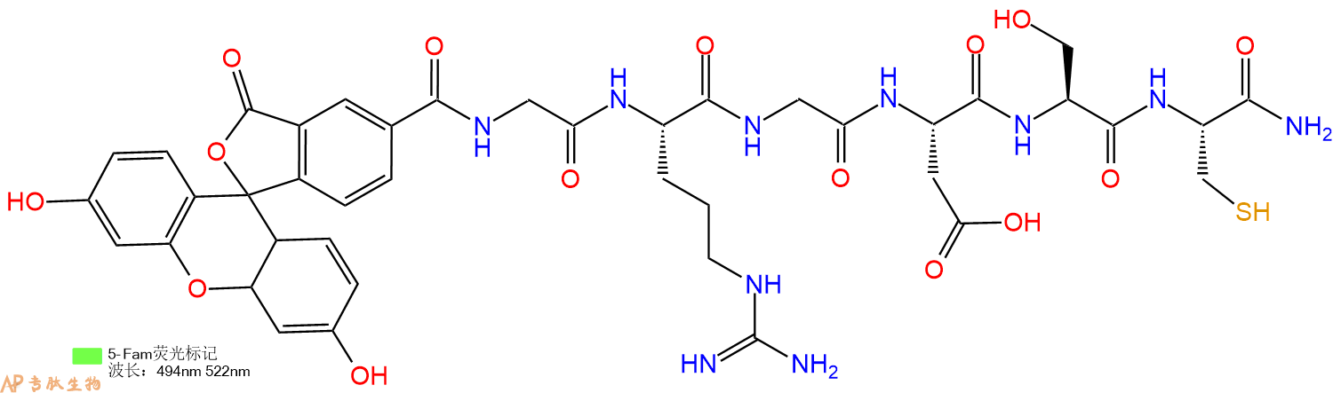 专肽生物产品5FAM-Gly-Arg-Gly-Asp-Ser-Cys-CONH2