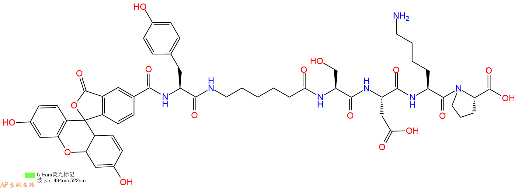专肽生物产品5FAM-Tyr-Ahx-Ser-Asp-Lys-Pro-OH