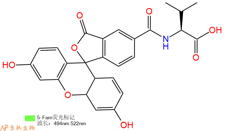 专肽生物产品5FAM-Val-OH