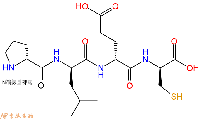 专肽生物产品H2N-DPro-DLeu-DGlu-DCys-OH