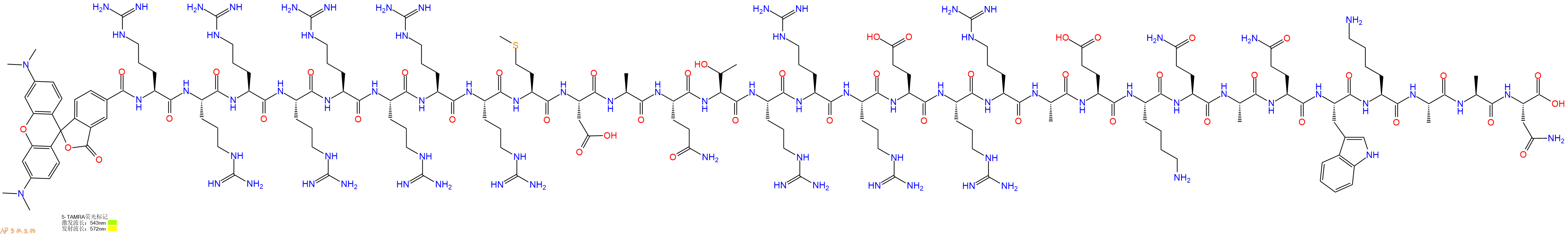 专肽生物产品5TAMRA-Arg-Arg-Arg-Arg-Arg-Arg-Arg-Arg-Met-Asp-Ala-Gln-Thr-Arg-Arg-Arg-Glu-Arg-Arg-Ala-Glu-Lys-Gln-Ala-Gln-Trp-Lys-Ala-Ala-Asn-OH