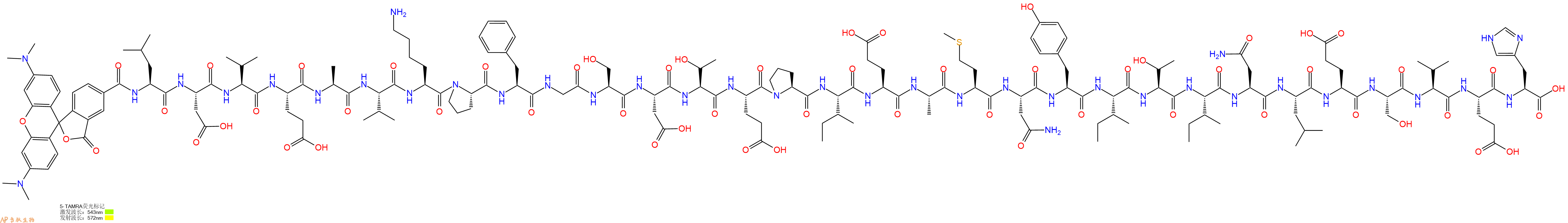 专肽生物产品5TAMRA-Leu-Asp-Val-Glu-Ala-Val-Lys-Pro-Phe-Gly-Ser-Asp-Thr-Glu-Pro-Ile-Glu-Ala-Met-Asn-Tyr-Ile-Thr-Ile-Asn-Leu-Glu-Ser-Val-Glu-His-OH