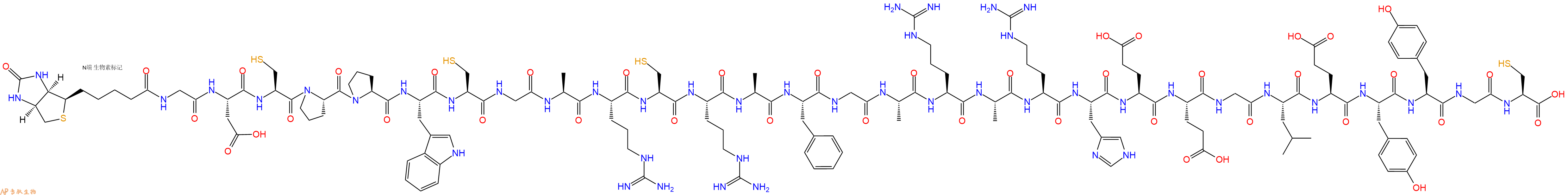 专肽生物产品Biotinyl-Gly-Asp-Cys-Pro-Pro-Trp-Cys-Gly-Ala-Arg-Cys-Arg-Ala-Phe-Gly-Ala-Arg-Ala-Arg-His-Glu-Glu-Gly-Leu-Glu-Tyr-Tyr-Gly-Cys-OH