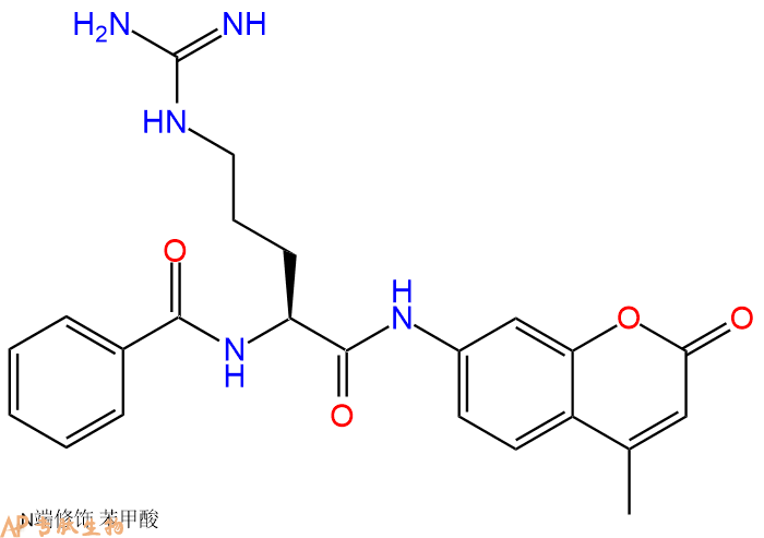 专肽生物产品Bzl-Arg-AMC83701-04-6