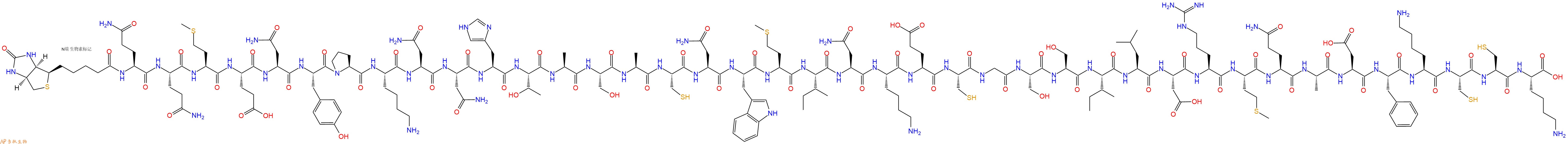 专肽生物产品Biotinyl-Gln-Gln-Met-Glu-Asn-Tyr-Pro-Lys-Asn-Asn-His-Thr-Ala-Ser-Ala-Cys-Asn-Trp-Met-Ile-Asn-Lys-Glu-Cys-Gly-Ser-Ser-Ile-Leu-Asp-Arg-Met-Gln-Ala-Asp-Phe-Lys-Cys-Cys-Lys-OH