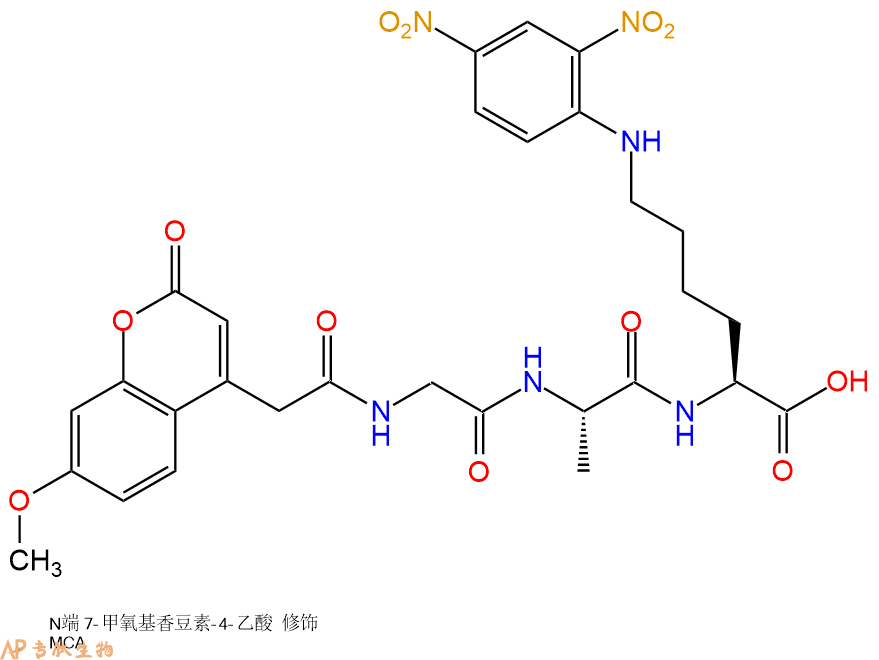 专肽生物产品MCA-Gly-Ala-Lys(Dnp)-OH