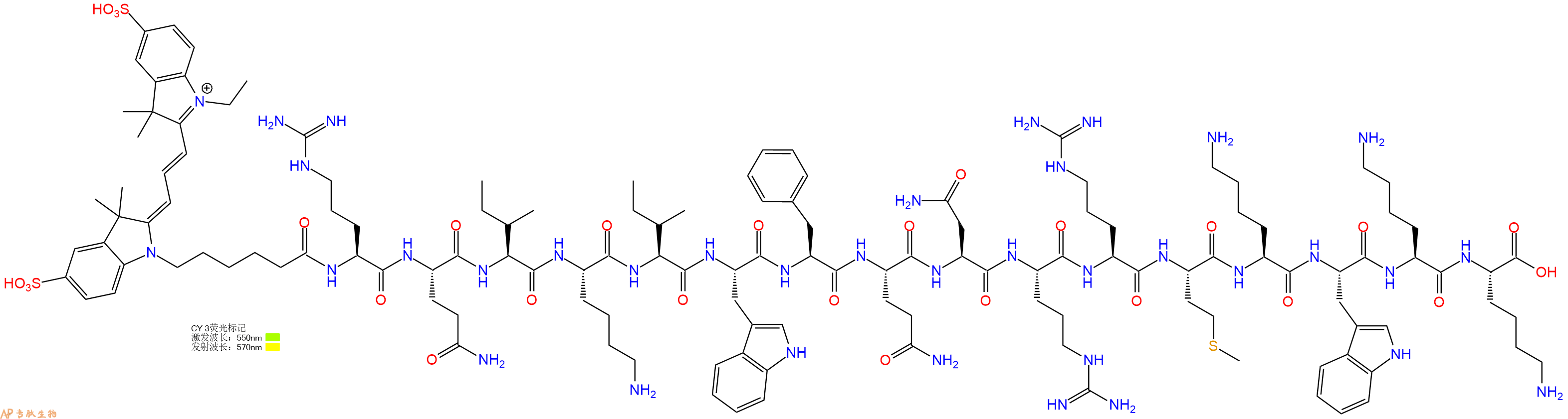 专肽生物产品CY3-RQIKIWFQNRRMKWKK