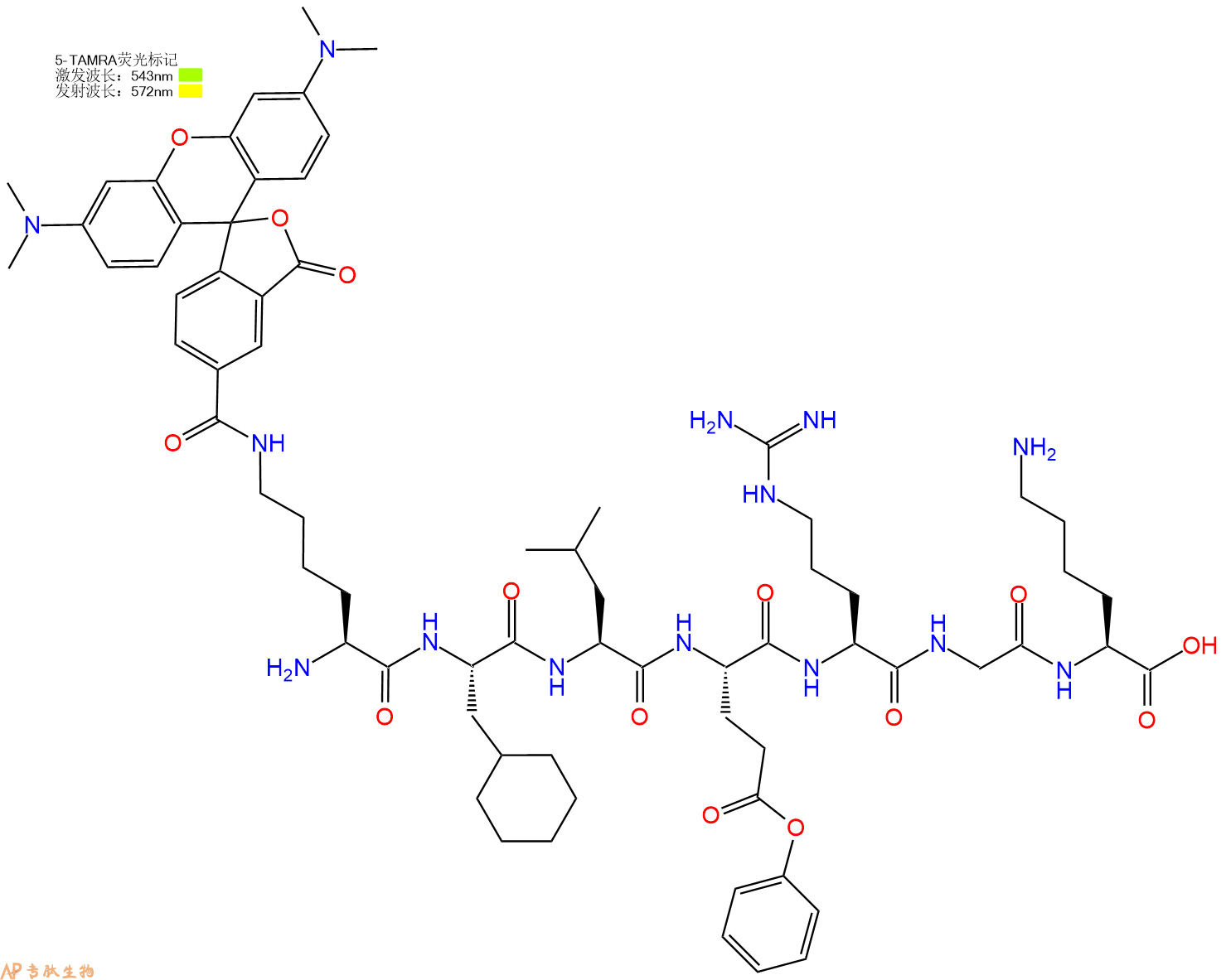 专肽生物产品H2N-Lys(TAMRA)-Cha-Leu-Glu(OBzl)-Arg-Gly-Lys-OH