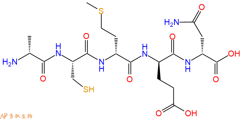 专肽生物产品H2N-DAla-Cys-DMet-DGlu-DAsn-OH