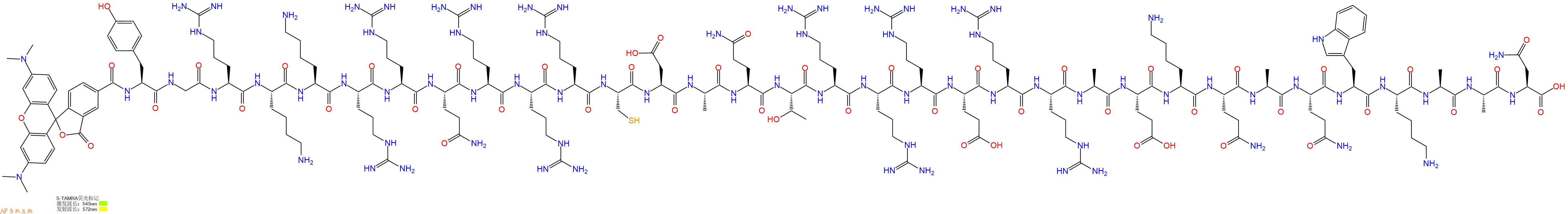 专肽生物产品5TAMRA-Tyr-Gly-Arg-Lys-Lys-Arg-Arg-Gln-Arg-Arg-Arg-Cys-Asp-Ala-Gln-Thr-Arg-Arg-Arg-Glu-Arg-Arg-Ala-Glu-Lys-Gln-Ala-Gln-Trp-Lys-Ala-Ala-Asn-OH