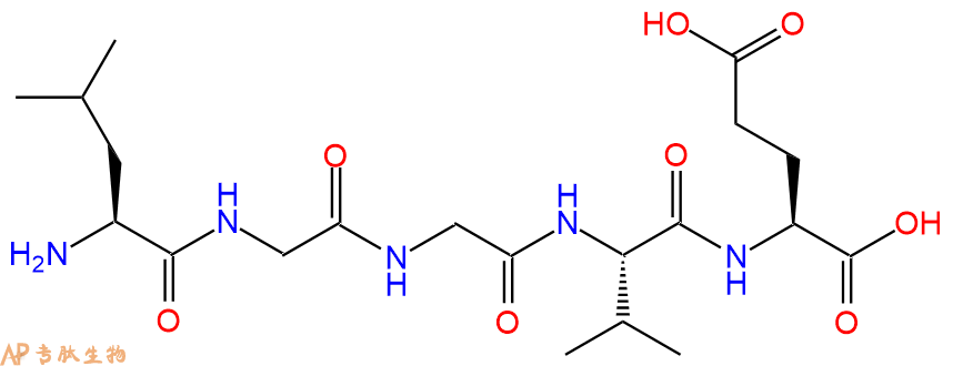 专肽生物产品H2N-Leu-Gly-Gly-Val-Glu-OH