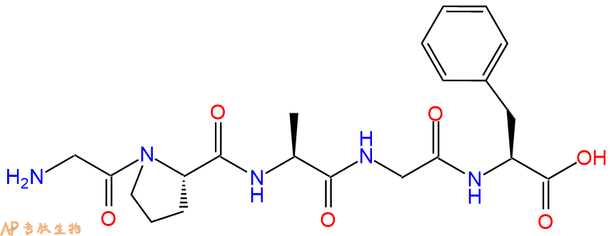 专肽生物产品H2N-Gly-Pro-Ala-Gly-Phe-OH