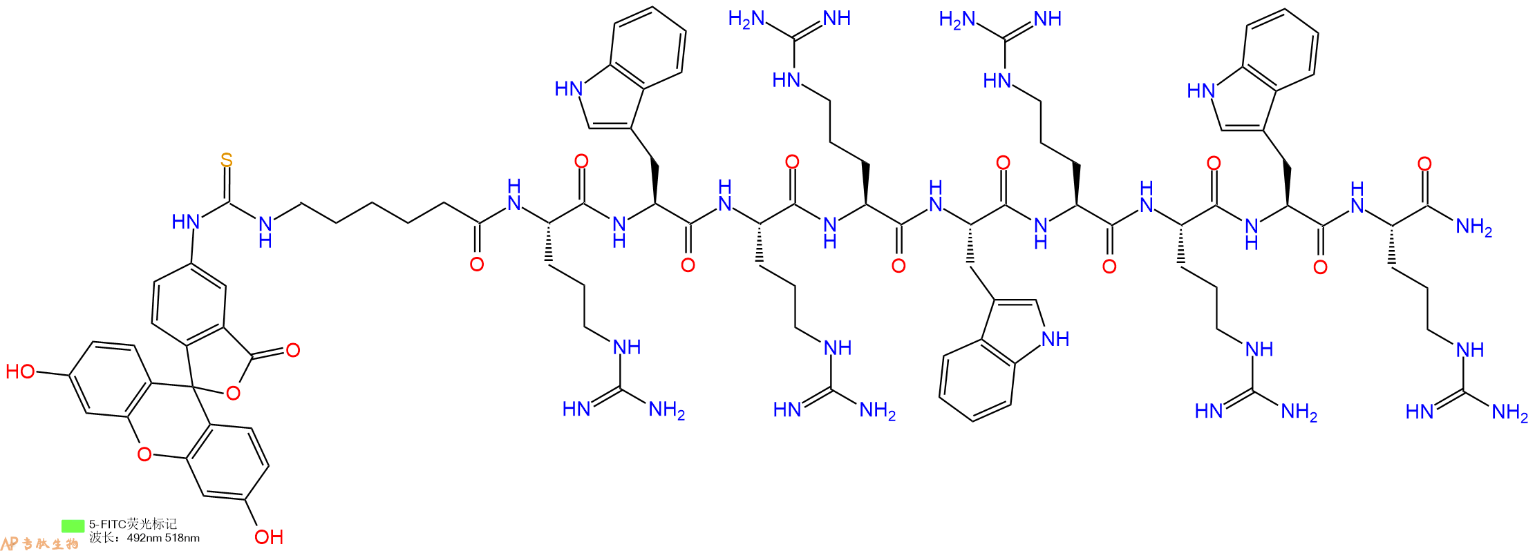 专肽生物产品5FITC-Ahx-Arg-Trp-Arg-Arg-Trp-Arg-Arg-Trp-Arg-CONH2