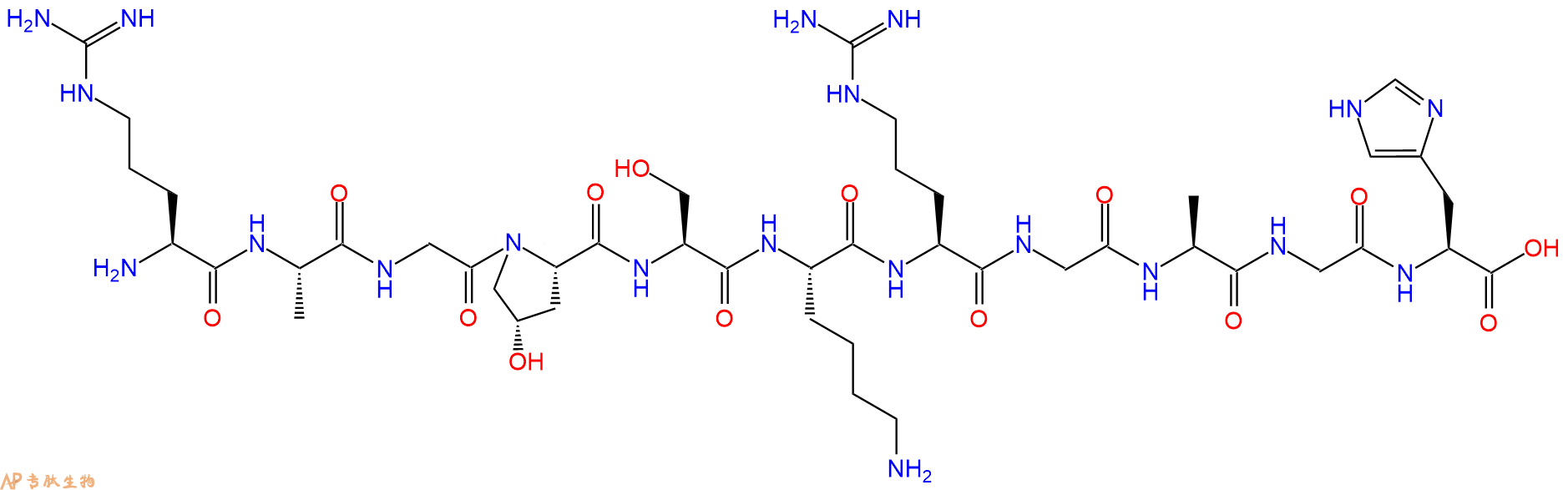 专肽生物产品H2N-Arg-Ala-Gly-Hyp-Ser-Lys-Arg-Gly-Ala-Gly-His-OH
