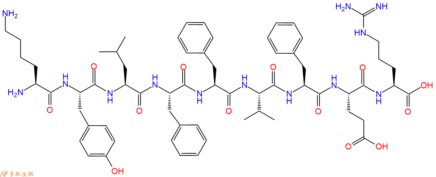 专肽生物产品H2N-Lys-Tyr-Leu-Phe-Phe-Val-Phe-Glu-Arg-OH