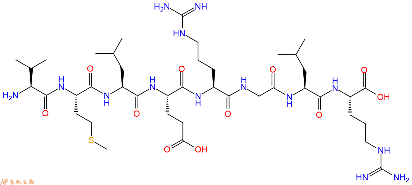 专肽生物产品H2N-Val-Met-Leu-Glu-Arg-Gly-Leu-Arg-OH