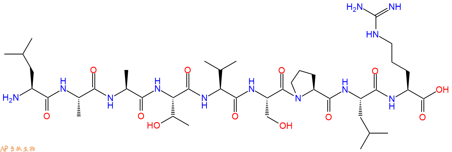 专肽生物产品H2N-Leu-Ala-Ala-Thr-Val-Ser-Pro-Leu-Arg-OH