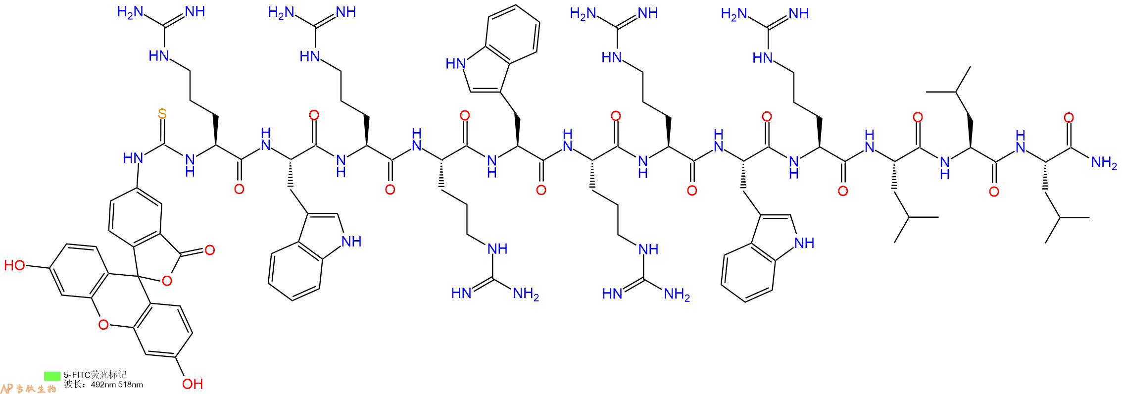 专肽生物产品5FITC-Arg-Trp-Arg-Arg-Trp-Arg-Arg-Trp-Arg-Leu-Leu-Leu-CONH2