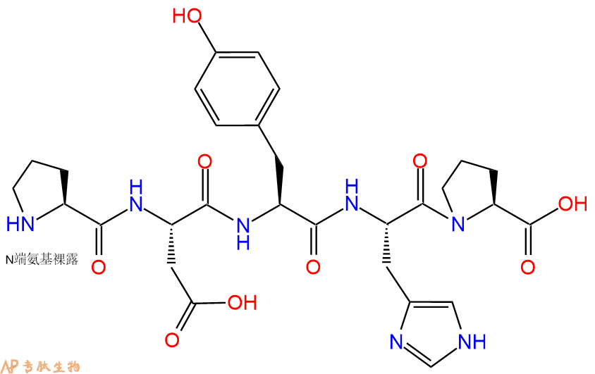 专肽生物产品H2N-Pro-Asp-Tyr-His-Pro-OH