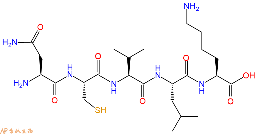 专肽生物产品H2N-Asn-Cys-Val-Leu-Lys-OH