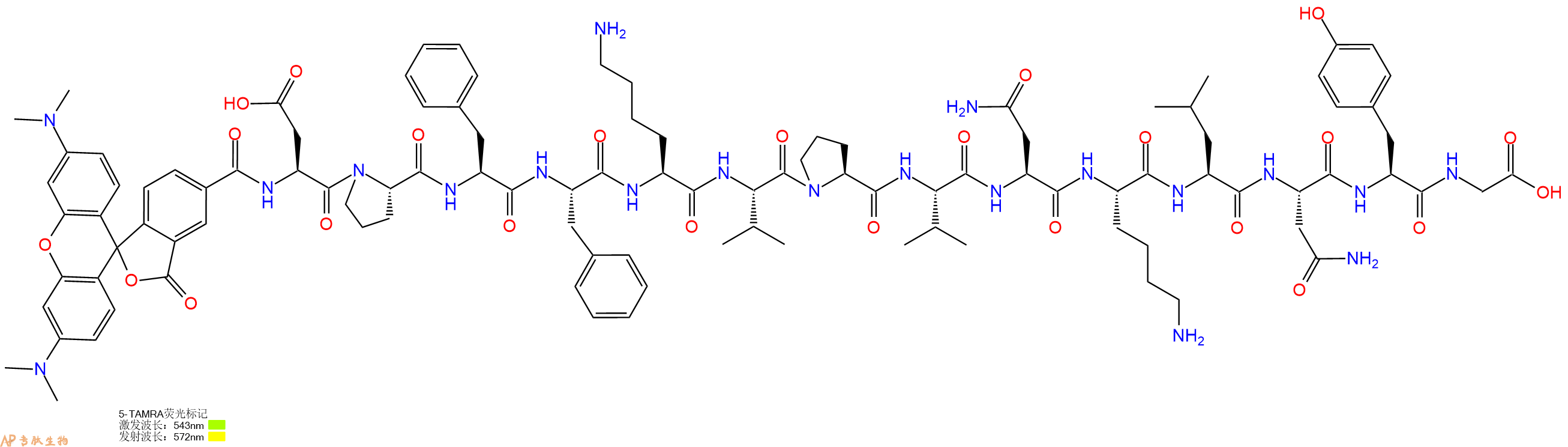 专肽生物产品5TAMRA-Asp-Pro-Phe-Phe-Lys-Val-Pro-Val-Asn-Lys-Leu-Asn-Tyr-Gly-OH