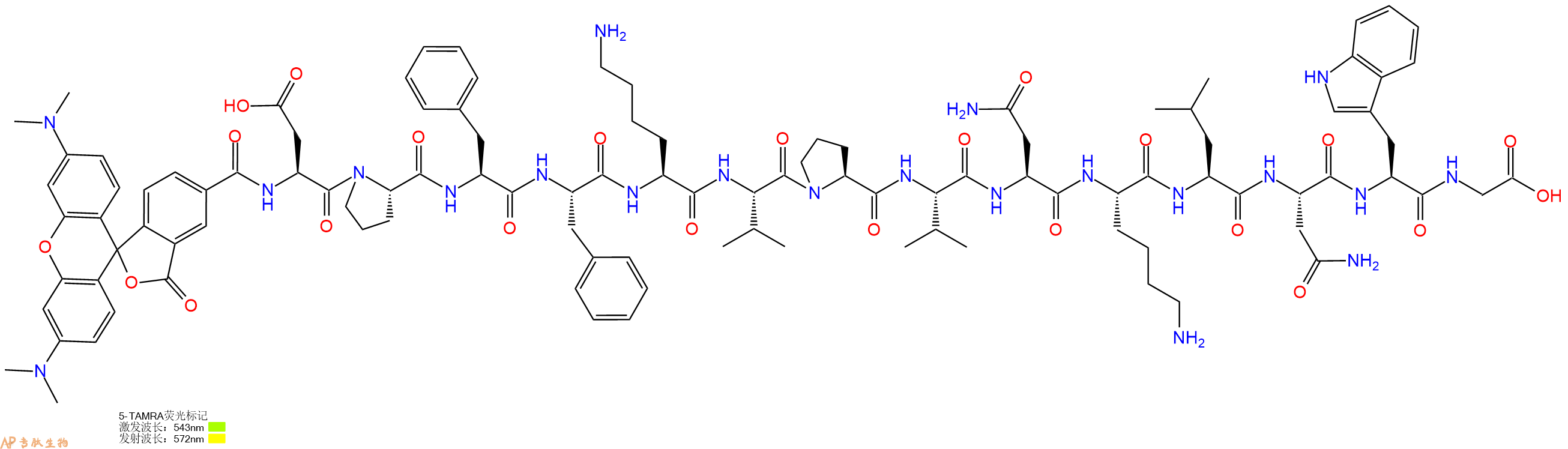 专肽生物产品5TAMRA-Asp-Pro-Phe-Phe-Lys-Val-Pro-Val-Asn-Lys-Leu-Asn-Trp-Gly-OH