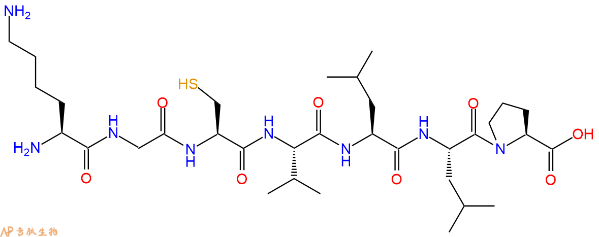 专肽生物产品H2N-Lys-Gly-Cys-Val-Leu-Leu-Pro-OH