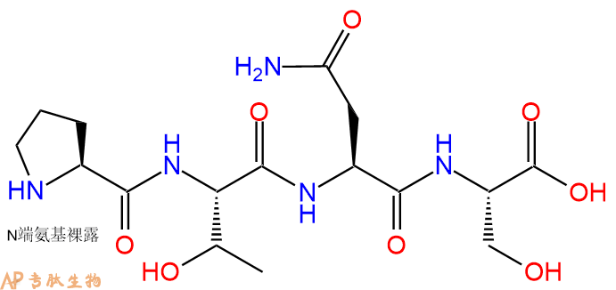 专肽生物产品H2N-Pro-Thr-Asn-Ser-OH