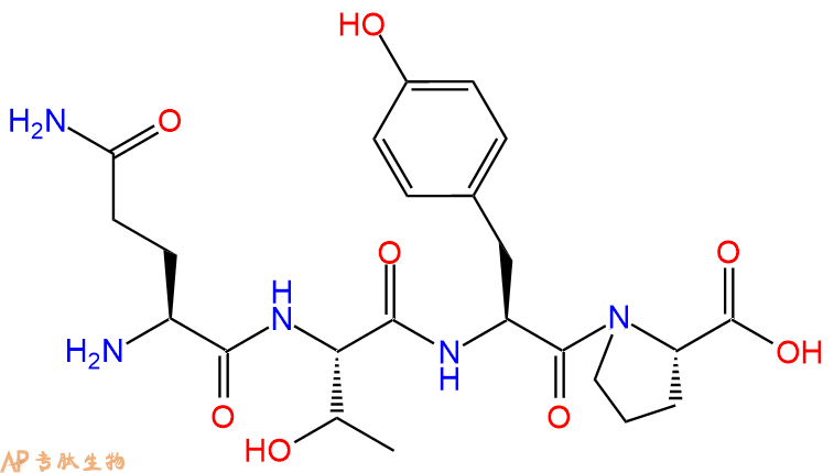 专肽生物产品H2N-Gln-Thr-Tyr-Pro-OH