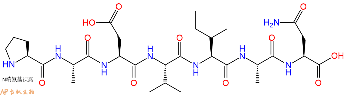 专肽生物产品H2N-Pro-Ala-Asp-Val-Ile-Ala-Asn-OH